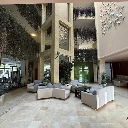 Nancy Sea View * سفيتي فلاس